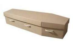 Cardboard-Coffin